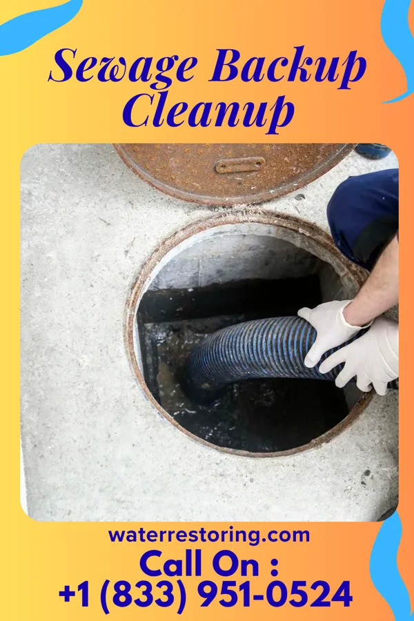 Sewage Backup Cleanup in Copper City, MI