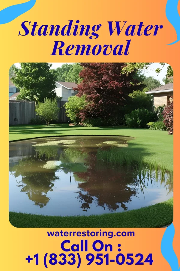 Standing Water Removal in Copper City, MI